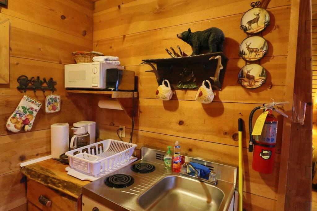 Cozy Cabin W/ Fireplace 3 Minutes To Helen! #2. Eksteriør bilde